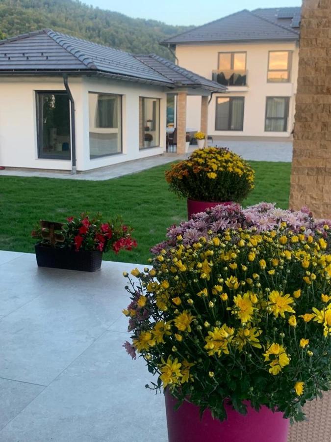 Vila Diamond Lux&Spa Sovata Eksteriør bilde