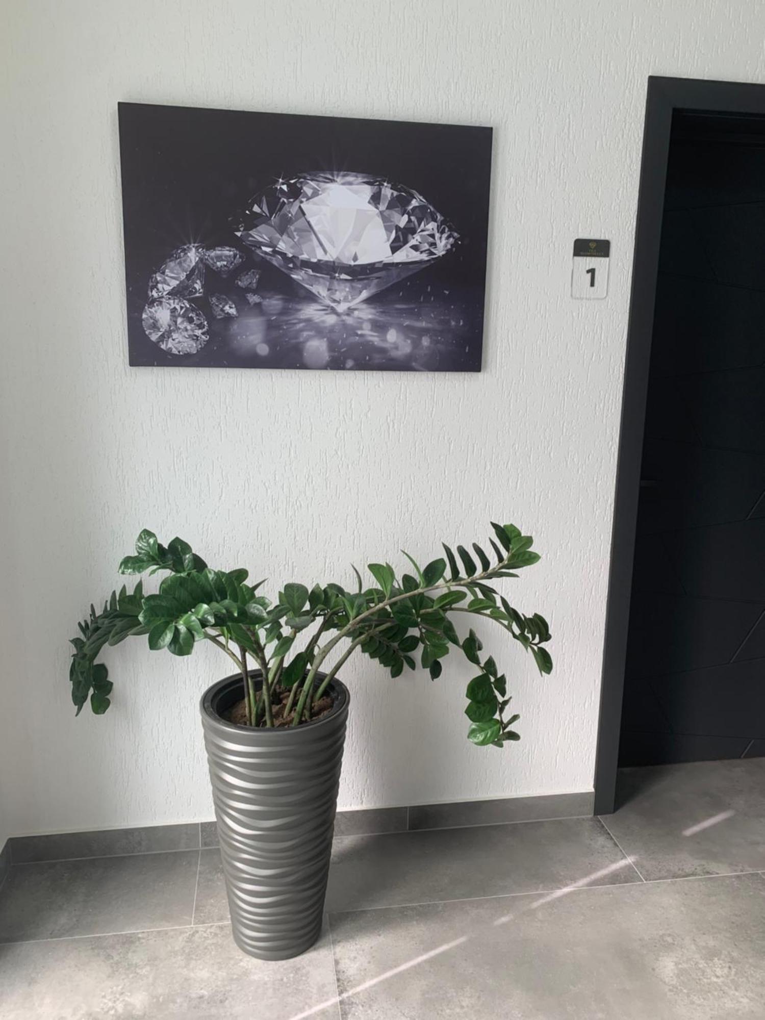 Vila Diamond Lux&Spa Sovata Eksteriør bilde
