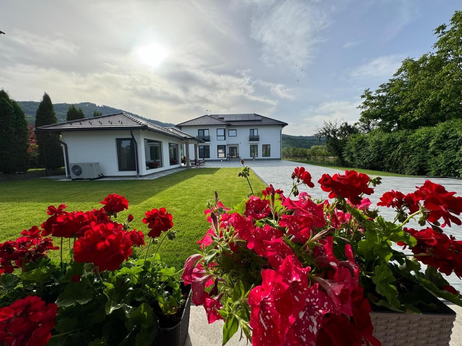 Vila Diamond Lux&Spa Sovata Eksteriør bilde