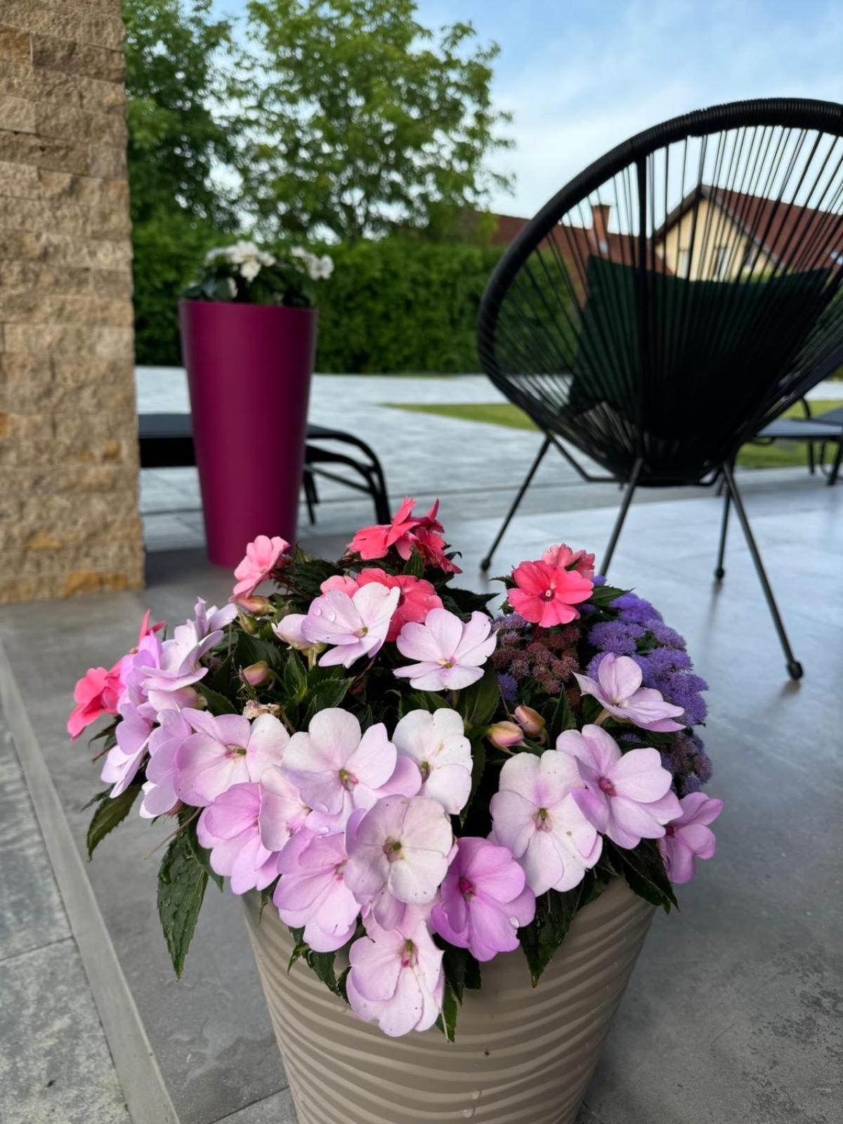 Vila Diamond Lux&Spa Sovata Eksteriør bilde